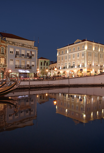 Hotel Aveiro Palace 