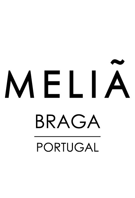 Meliã Braga Hotel & SPA